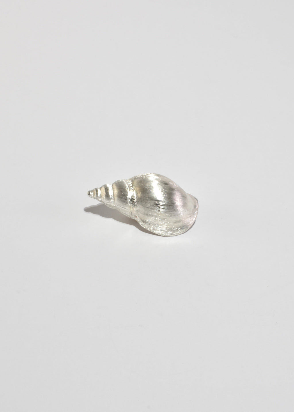 Conch Shell Pill Box