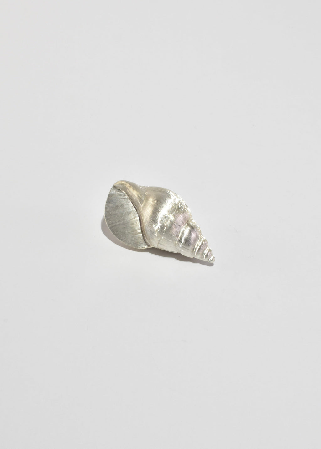 Conch Shell Pill Box