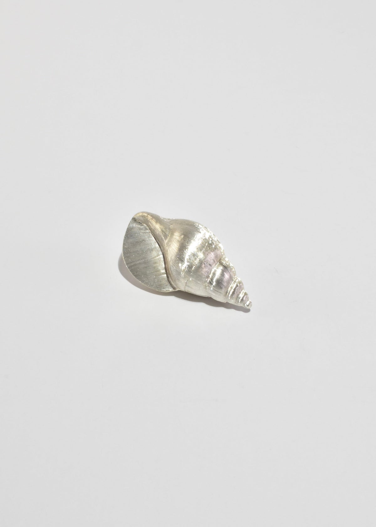 Conch Shell Pill Box
