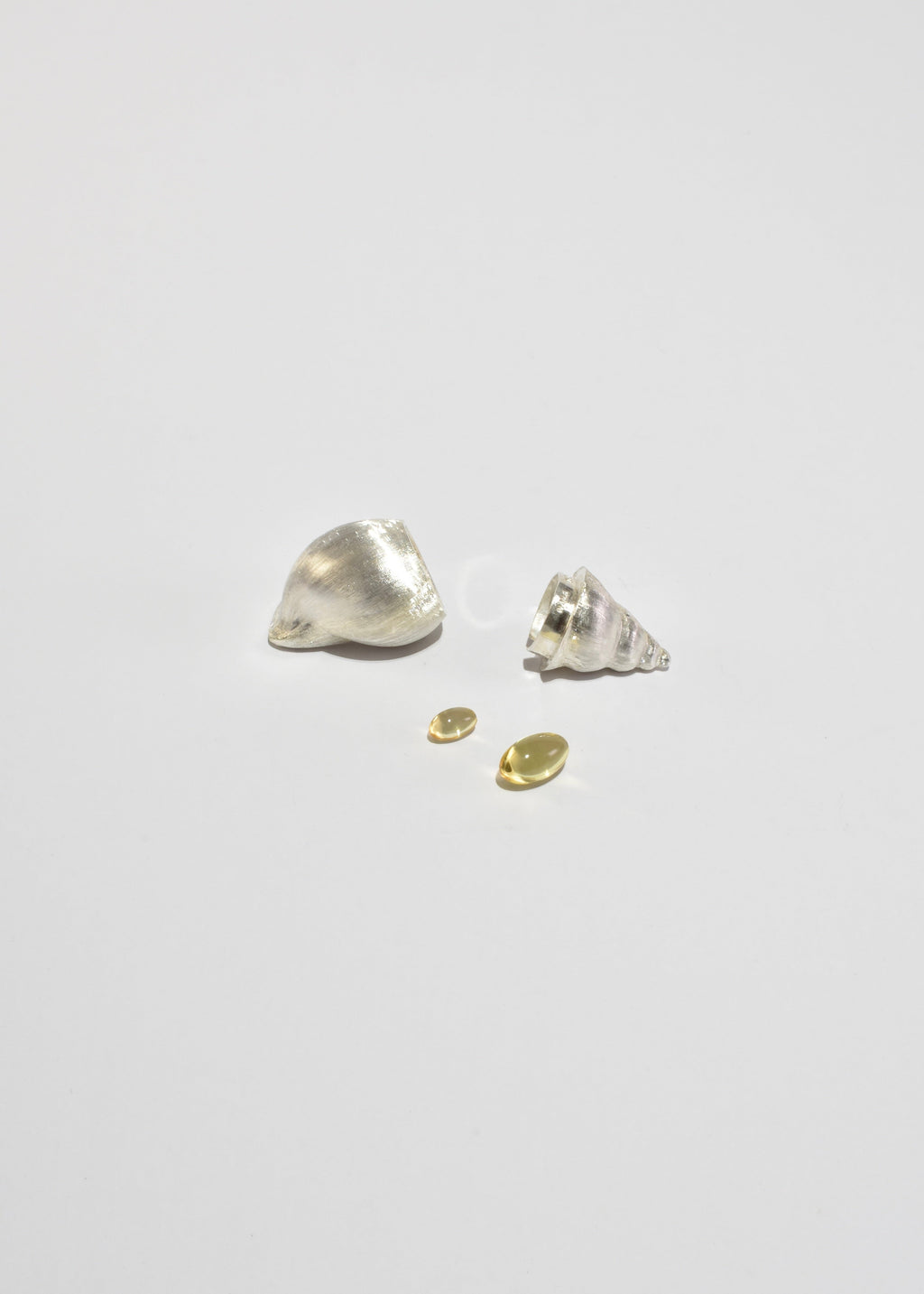 Conch Shell Pill Box