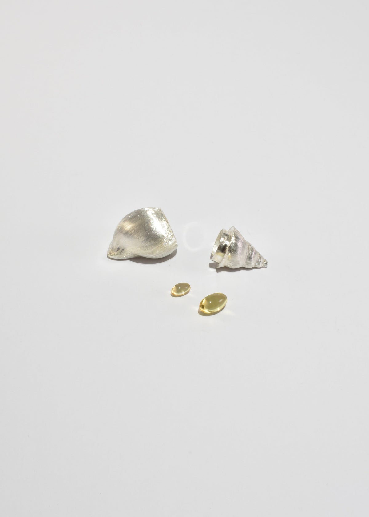 Conch Shell Pill Box