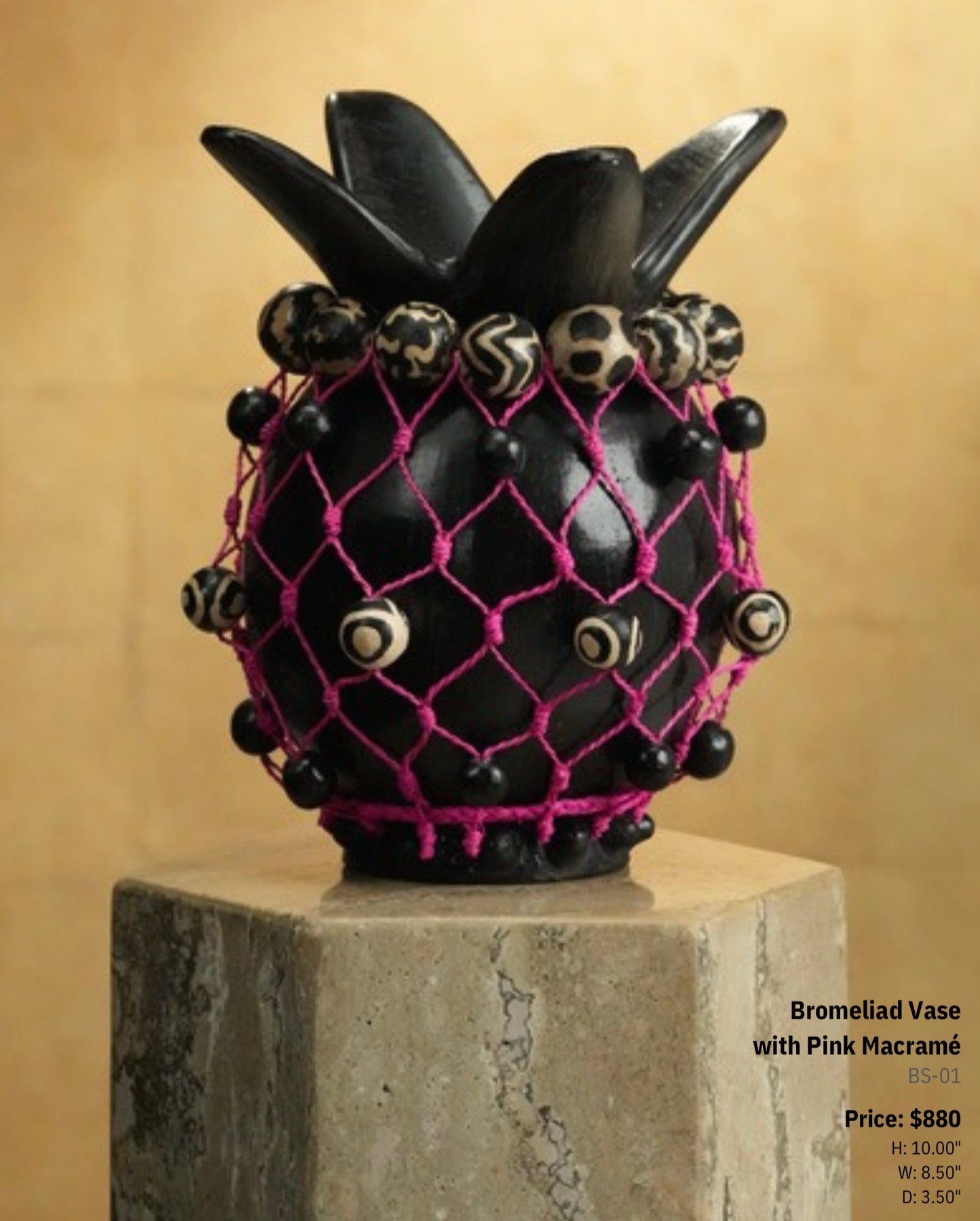 Bromeliad Vase with Pink Macramé - BS-01