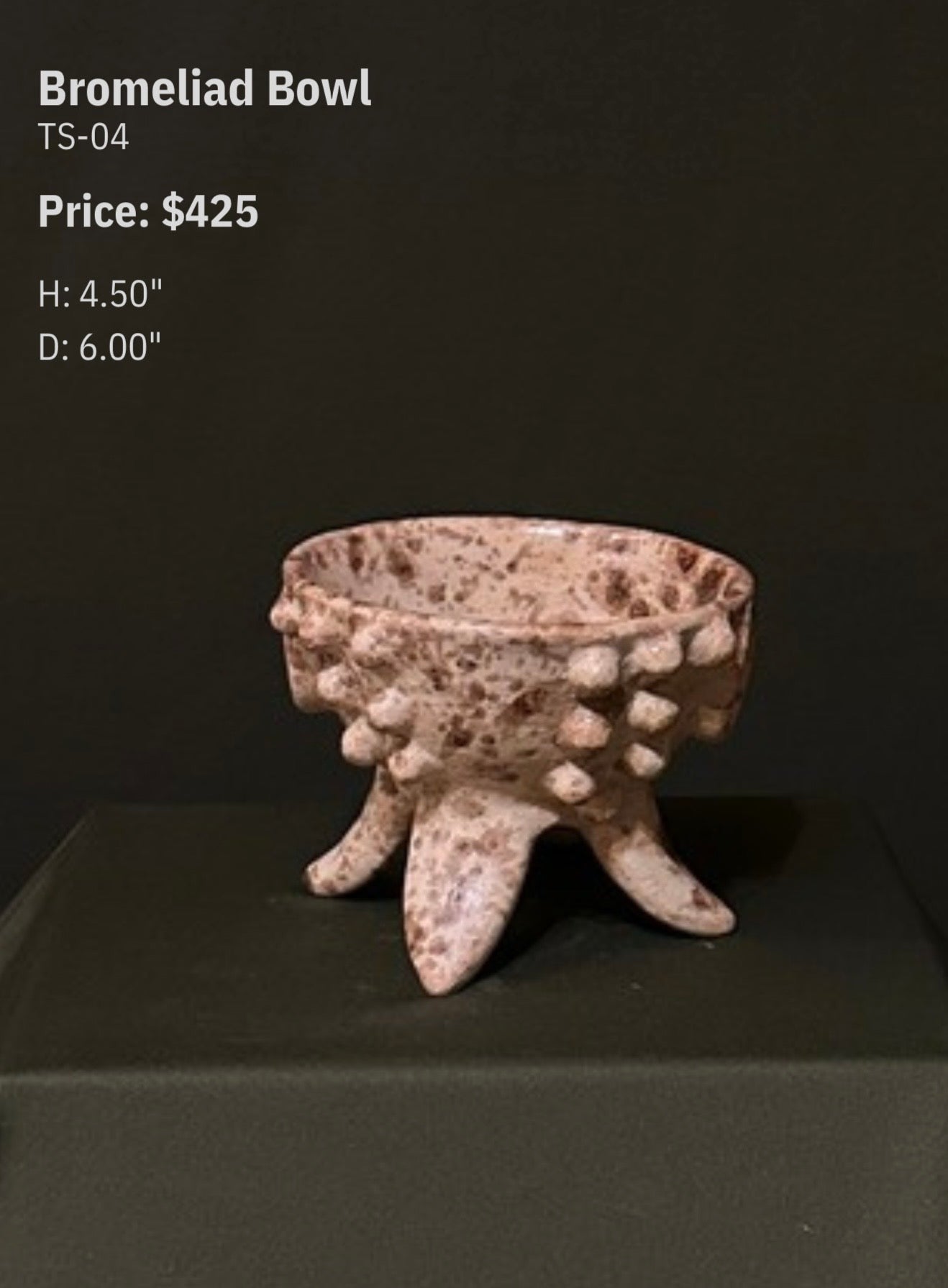 Bromeliad Bowl - TS-04