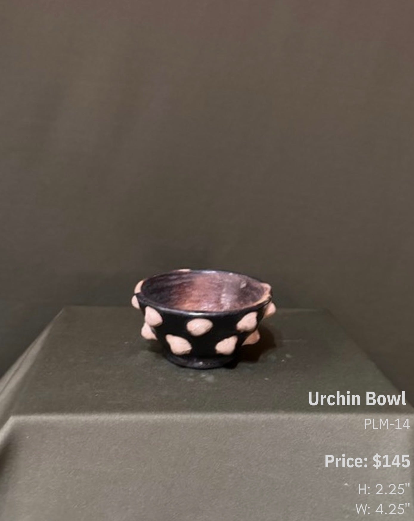 Urchin Bowl - PLM-14