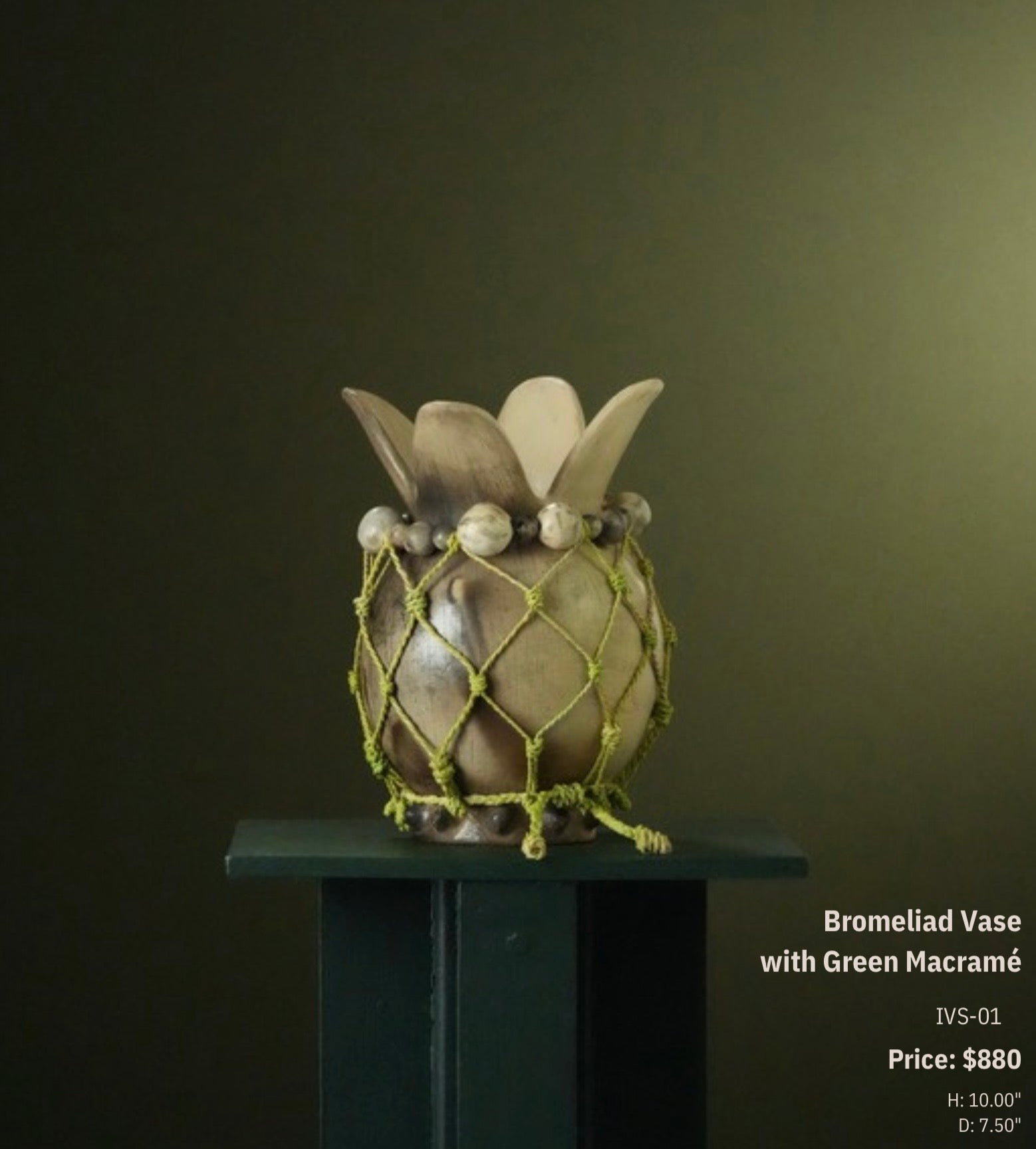 Bromeliad Vase with Green Macramé - IVS-01