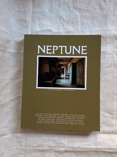 Neptune Papers - Issue nine: olive w/ hallway