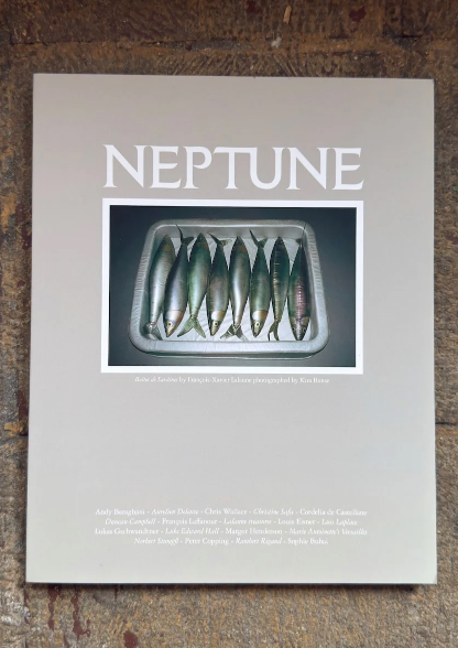 Neptune Papers - Issue Five - Grey w/ sardines