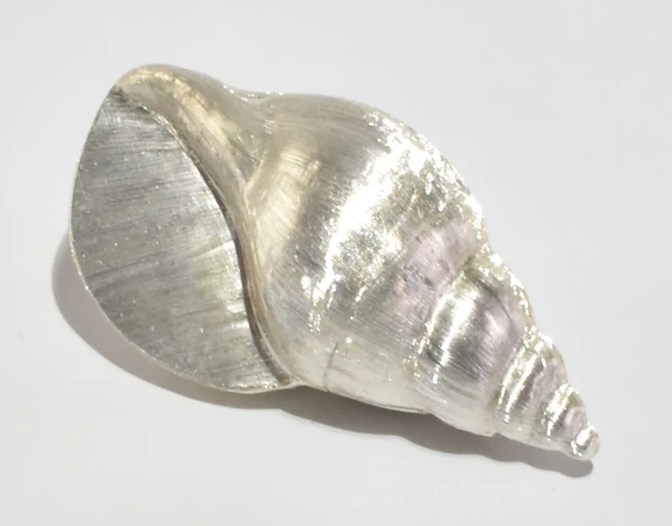 Conch Shell Pill Box