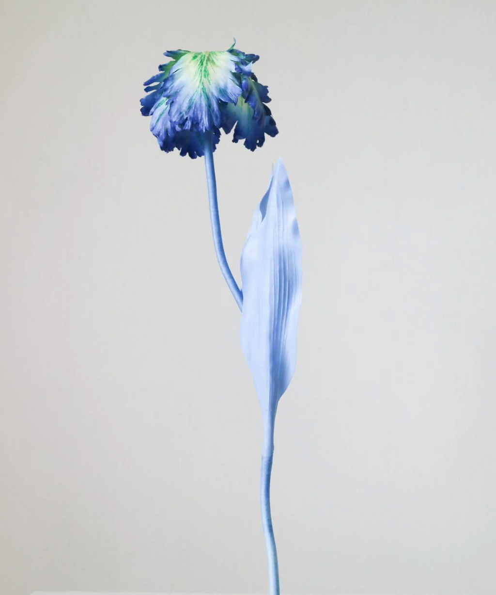 Tulip Bell Stems