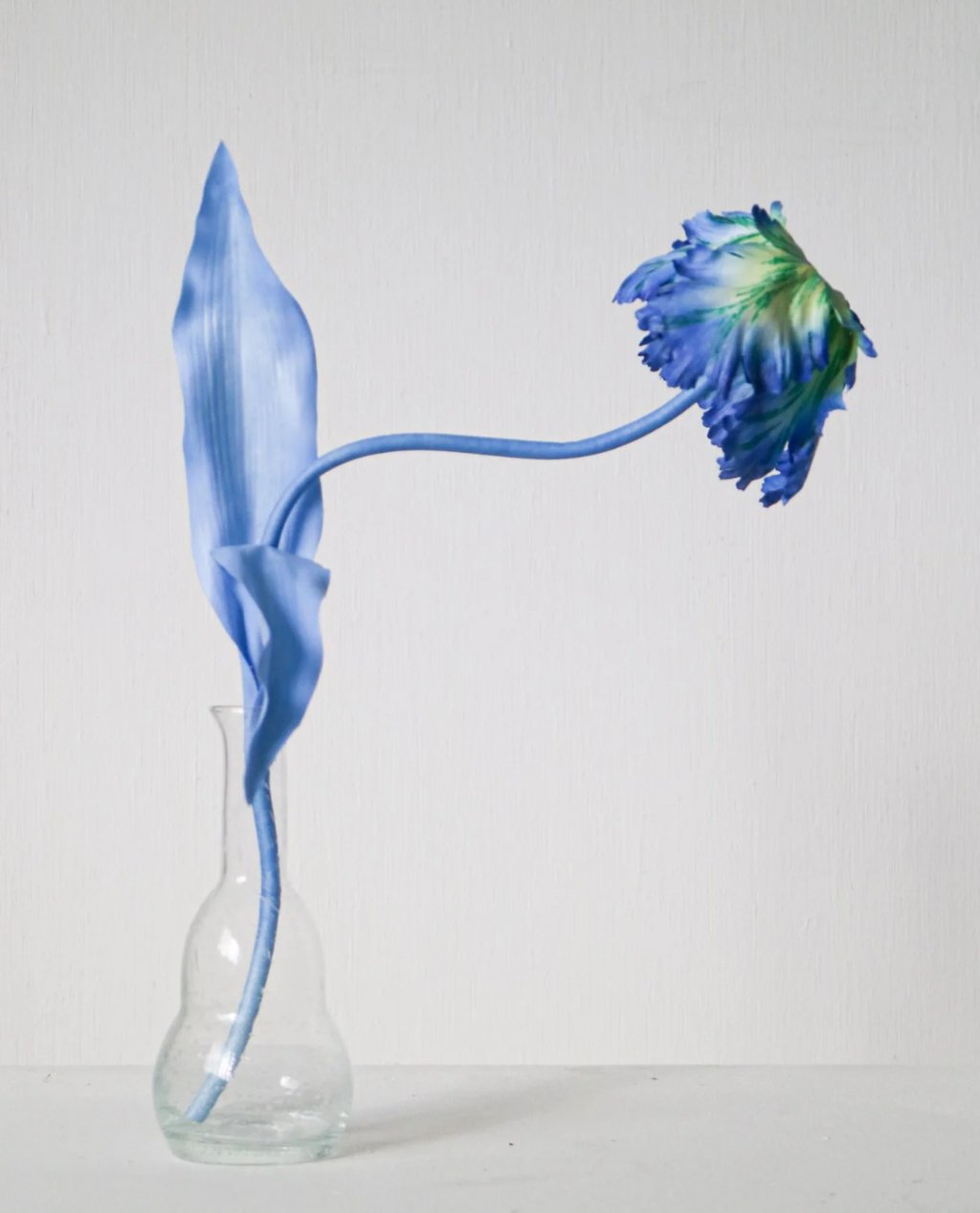 Tulip Bell Stems